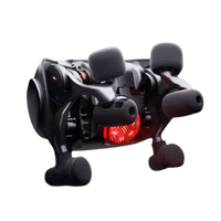 Nutraicel™ iMassager v.6